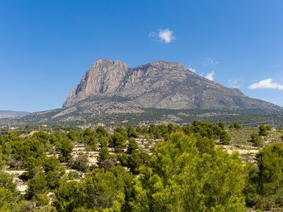 Alles gelijkvloers met zwembad én dakterras