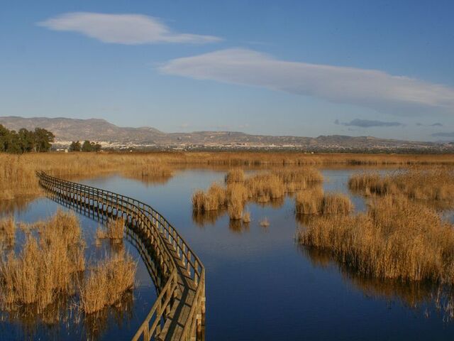 San Fulgencio